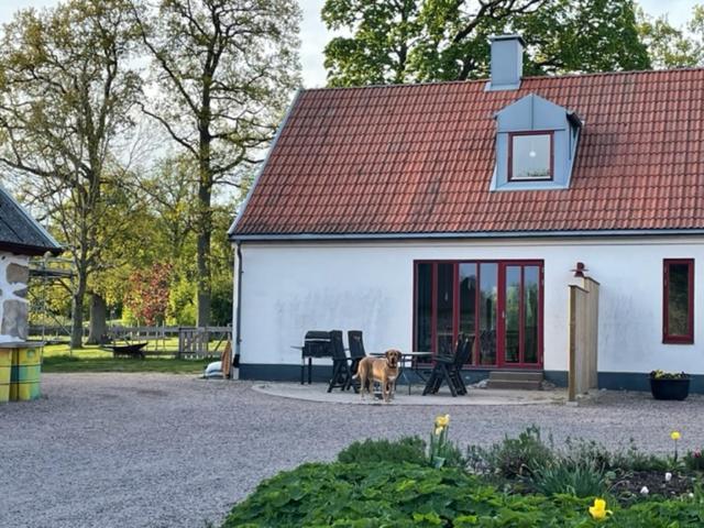Appartement Ormanasgarden à Höör Extérieur photo